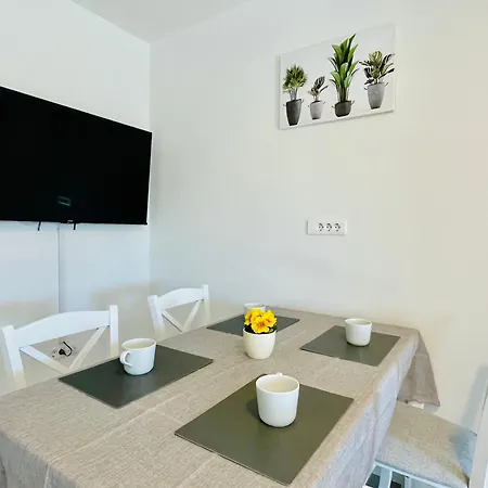 Apartment New Miya - *