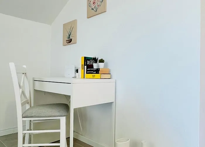 New Miya - * 페로이