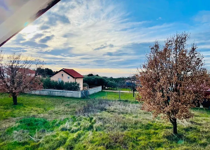 New Miya - 페로이